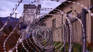 closeup of barbed wire on a prison fence